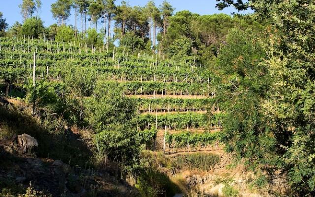 Il Respiro Del Tempo