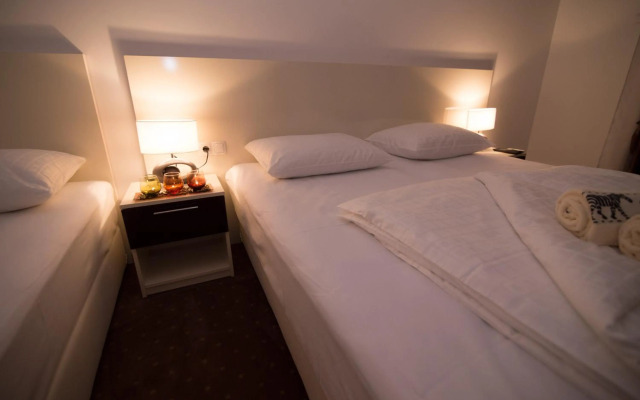 Luxury Apartments Taša