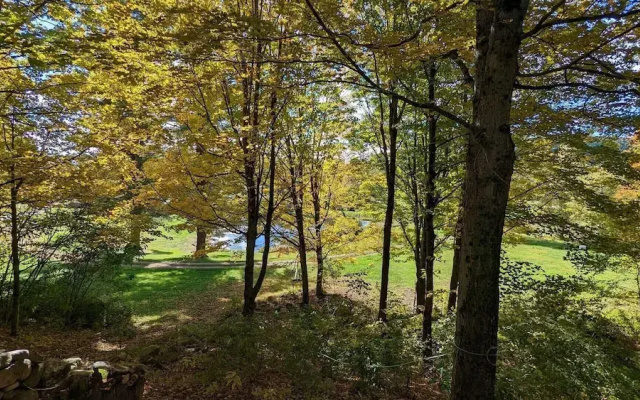 Pond View Cabin