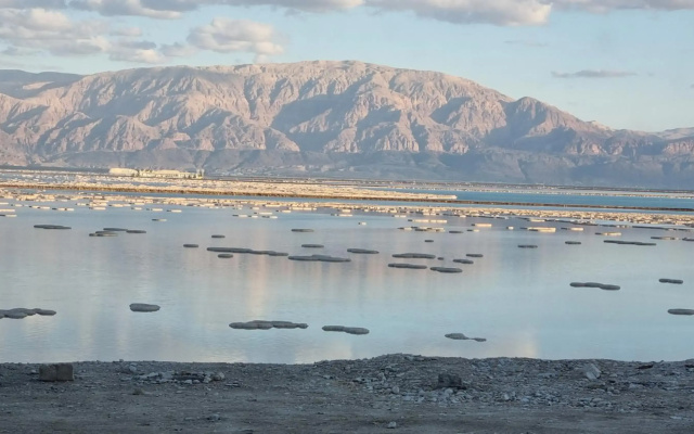 KING of the dead sea by CROWN