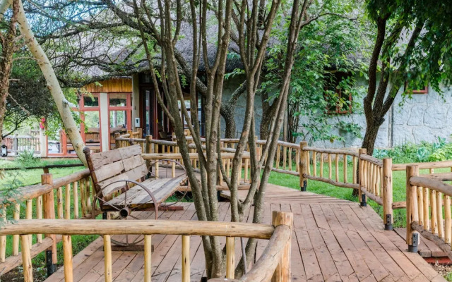 Ngorongoro Forest Tented Lodge