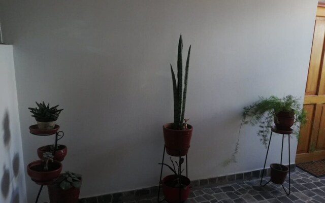 Bravo´s House