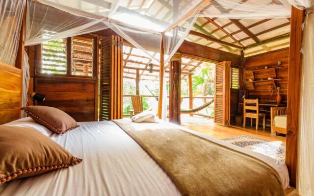 Funky Monkey Lodge