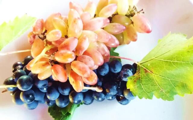 Chaglasian Wine & Suites