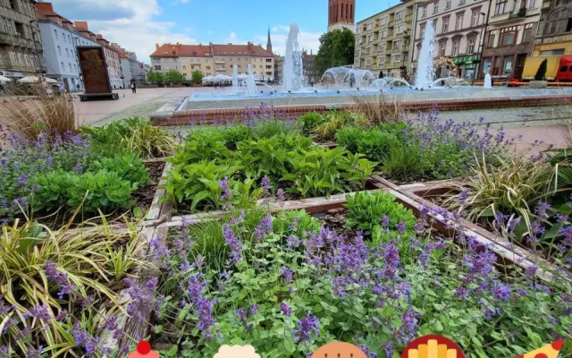 Apartamenty Premium PRETTY WOMAN Bytom Chorzów Katowice