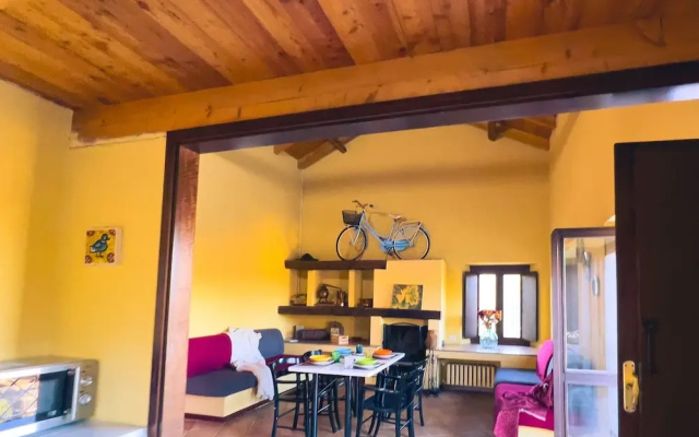 Tenuta MonteOliveto