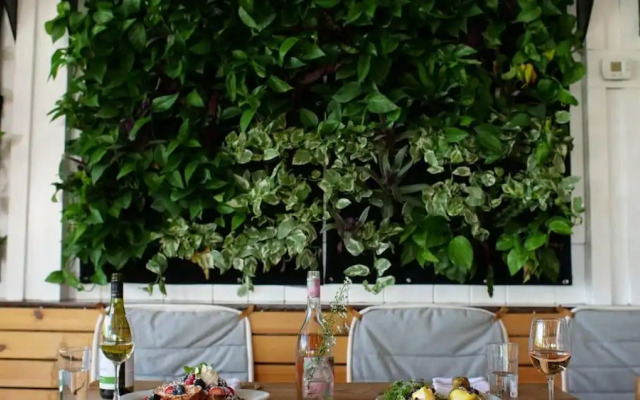 Ruschmeyers #15 - Dlx Queen