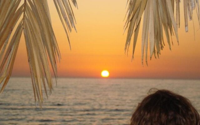 B&B Il Corso 41 Openhouse