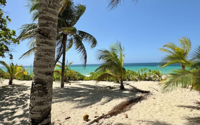 Roatan Infinity Pool & Ocean View