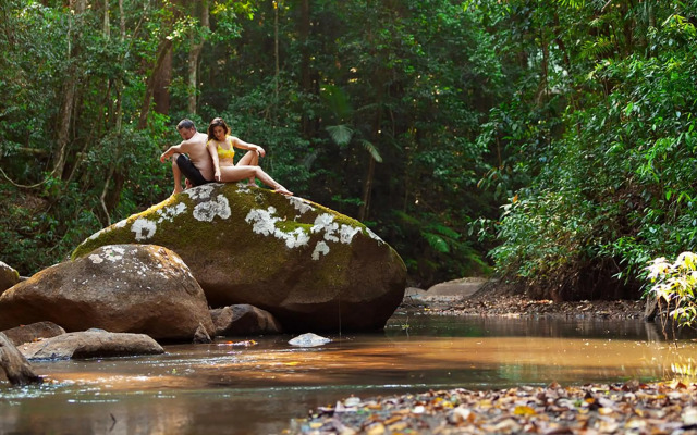 The Canopy Rainforest Treehouses and Wildlife Sanctuary