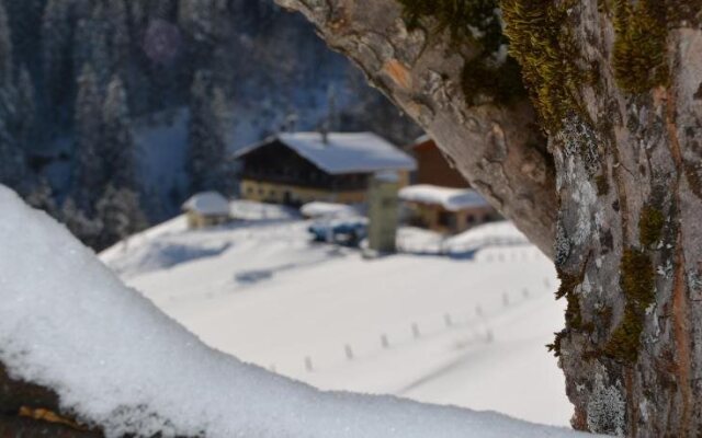 Bauernhof Elmau-Gut