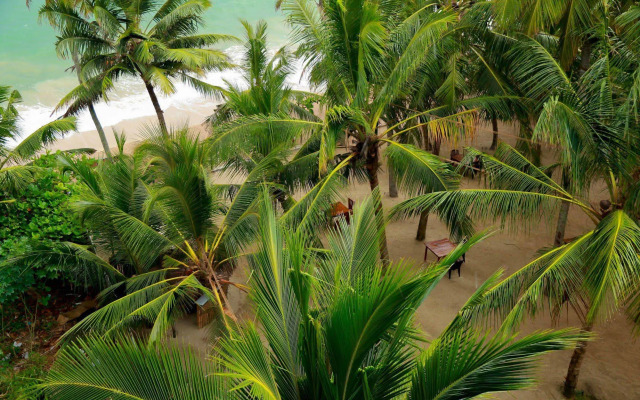 Ceylon Sea Hotel
