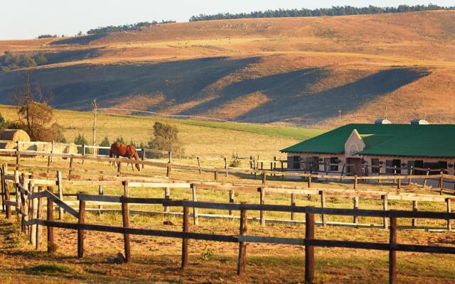 First Group Midlands Saddle and Trout