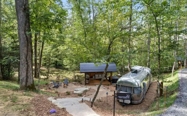 Royal Fern in Pisgah Forest