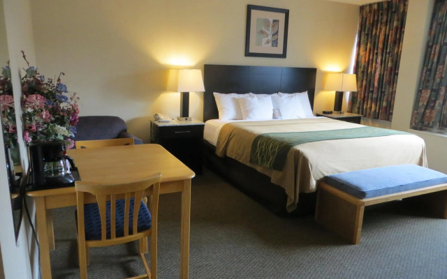 Comfort Inn & Suites Downtown Edmonton