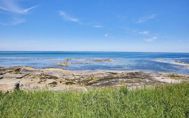 Host Stay The Puffins Nest