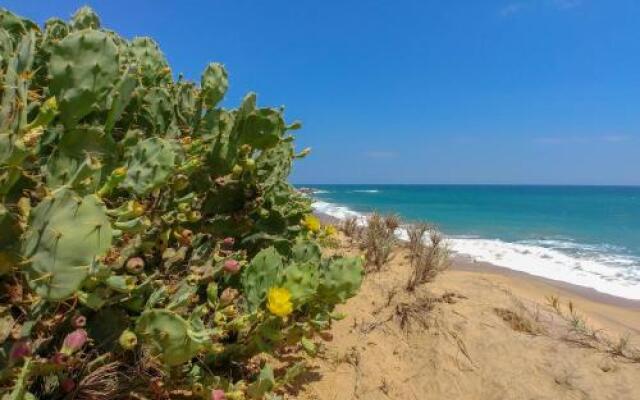 Back of Beyond Dune Camp - Yala