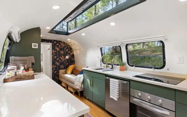 Royal Fern in Pisgah Forest