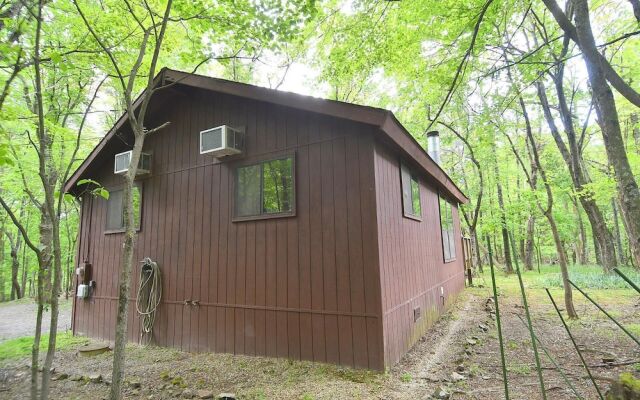 Woods Song - Natures Promise