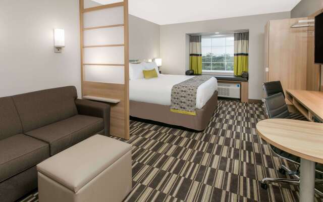 Microtel Inn & Suites by Wyndham Lubbock