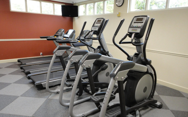Holiday Inn Resort Orlando - Lake Buena Vista by IHG