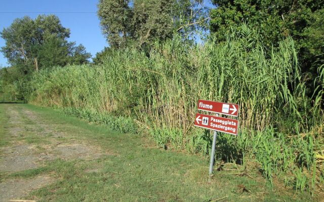 Fattoria La Steccaia