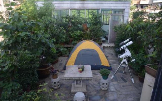 Dream Garden