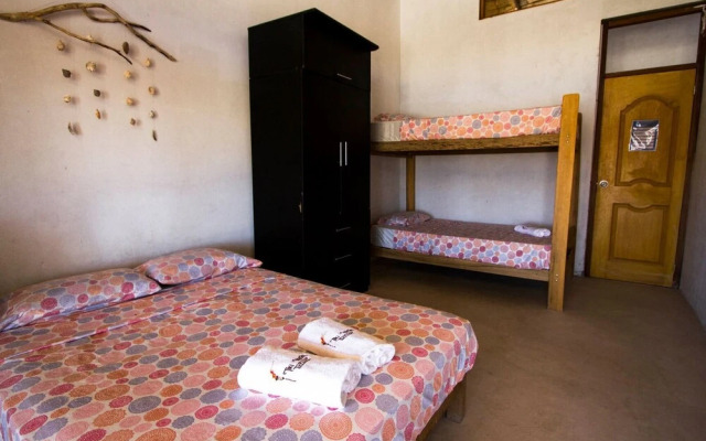 Tiki Surf House - Hostel