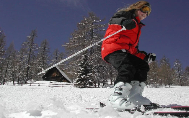 Ferienhäuser Brunnleiten