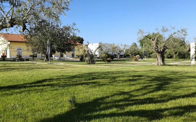 Tenuta Antico Leccio