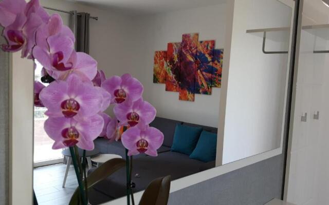 Apartment Relja