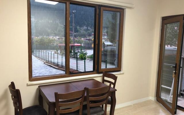 Uzungol Adiloglu Apart