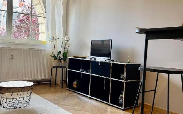 Superbe 40 m2 tout confort au cœur de Dijon