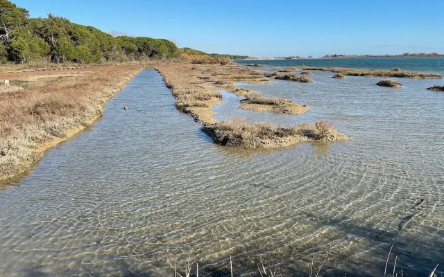 Downtown Flat 250mt From the Beach