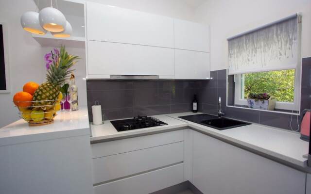 Apartment Ana
