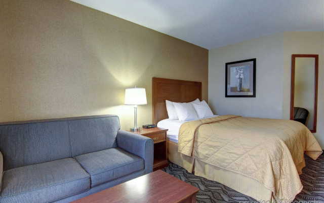 Comfort Inn & Suites Ambassador Bridge