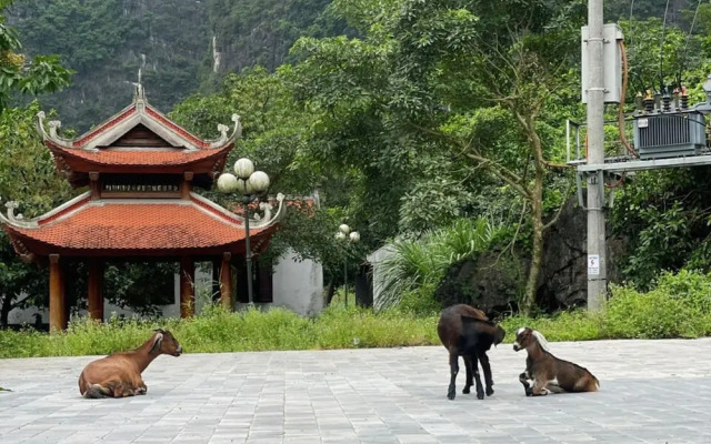 Vi TamCoc Hotel