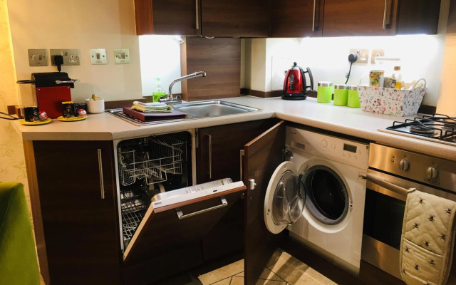 The Little Beech Tree