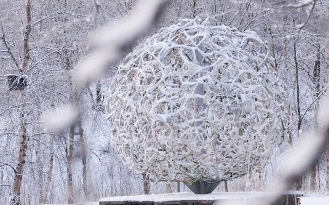 Wild Caribou Dome