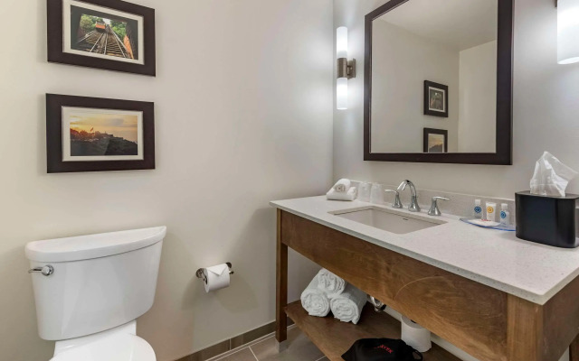 Comfort Inn & Suites Pittsburgh-Northshore