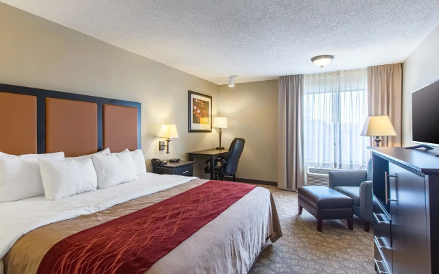 Comfort Inn Evansville East