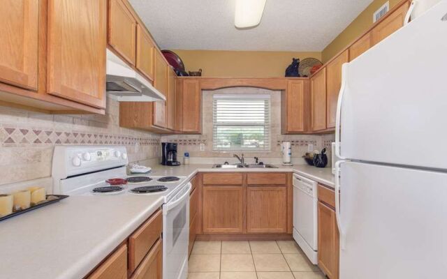 Bear Crossing by VTrips