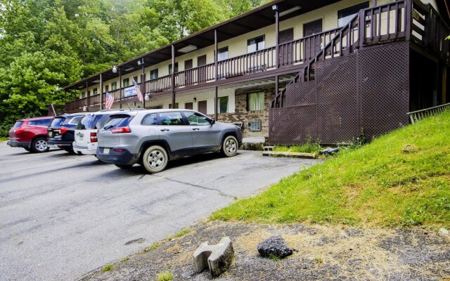 OYO Hotel Chapmanville Inn, WV - Hwy 119