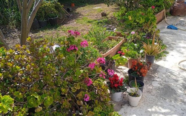 Villa Athina 3