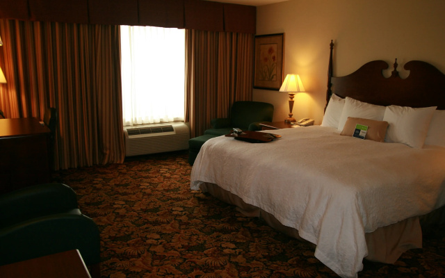 Hampton Inn & Suites Del Rio, Tx