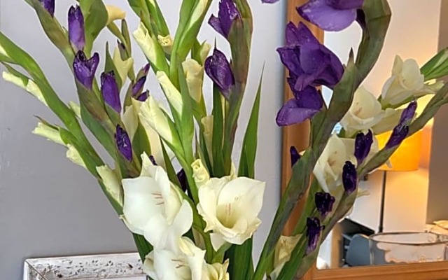 Wisteria Guest House