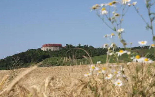 Schwarzer Adler Weingut