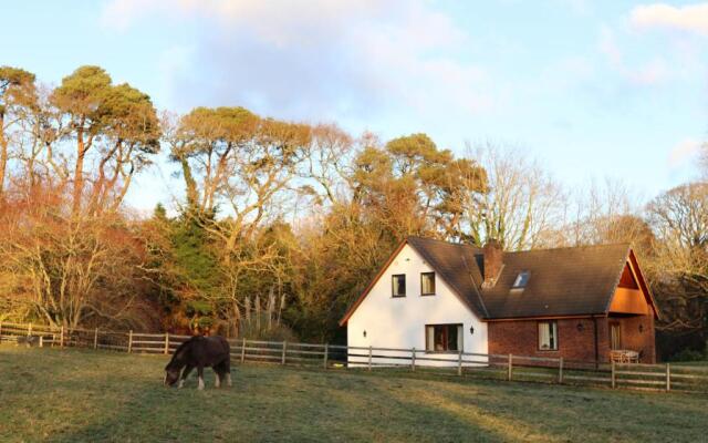 Plas Dolau Country Estate