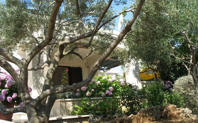 Zlatna - With Beautiful Garden - H