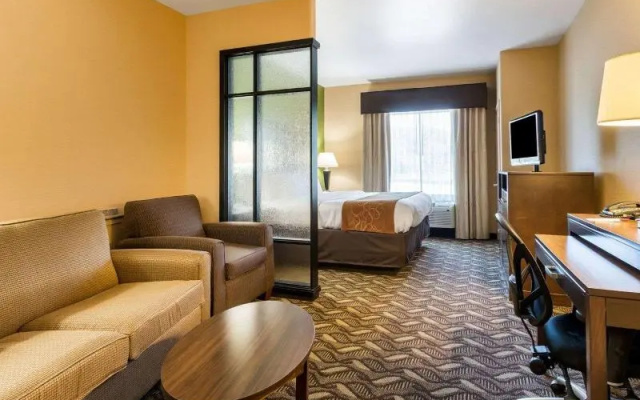 Comfort Suites Jewett